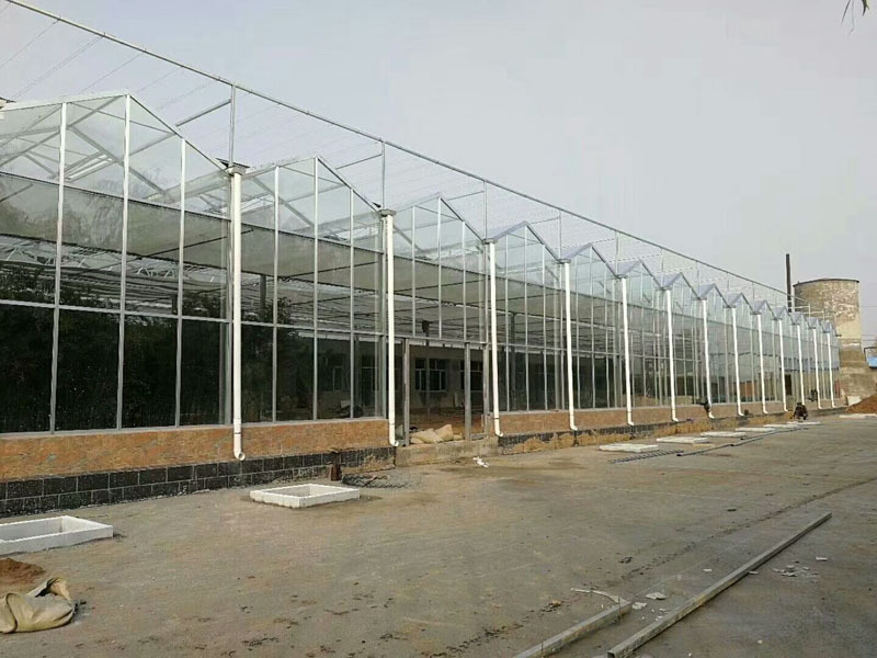 亜鉛メッキフレームポリカーボネートシート温室