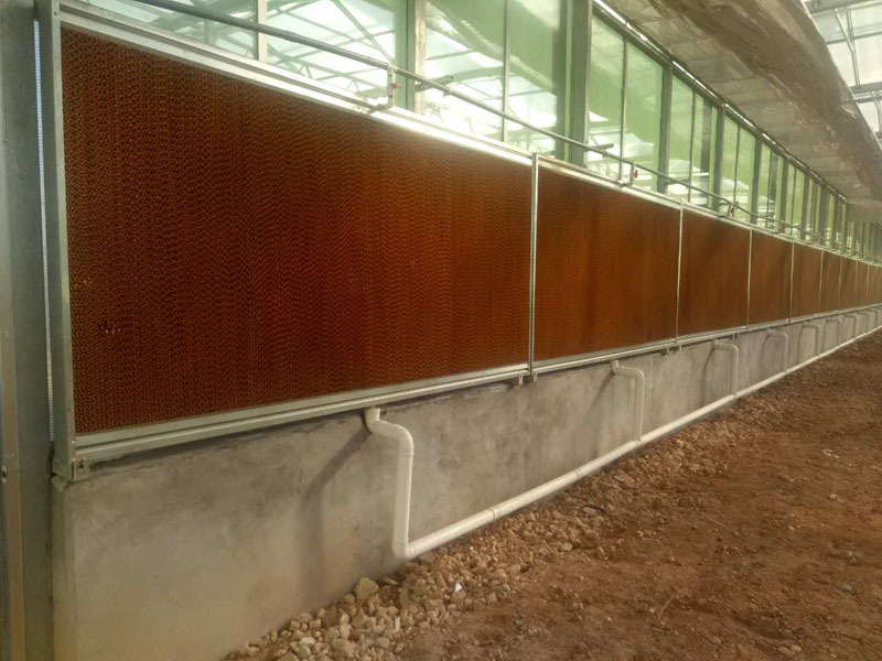 亜鉛メッキフレームポリカーボネートシート温室