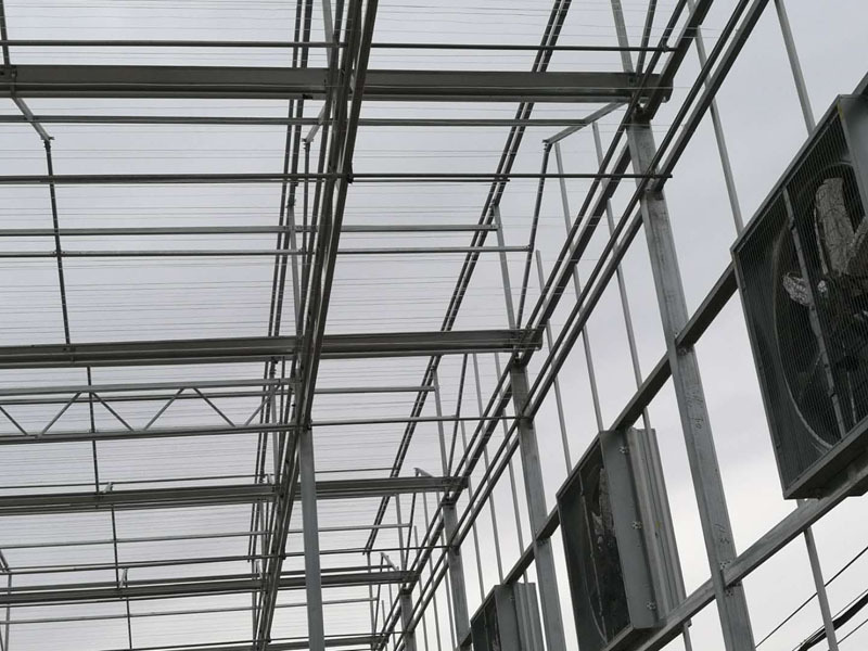 亜鉛メッキフレームポリカーボネートシート温室