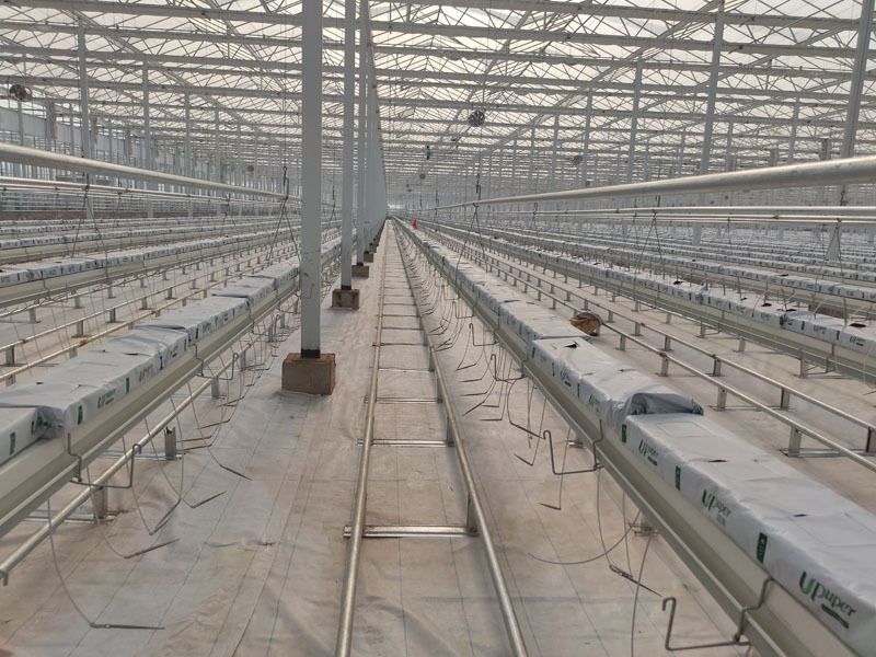 亜鉛メッキフレームポリカーボネートシート温室