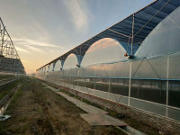 Tarımsal Poli Film Tünel Sera