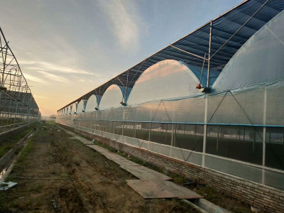 دفيئة زراعية من نفق البولي فيلم