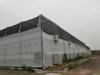 Tarımsal Poli Film Tünel Sera