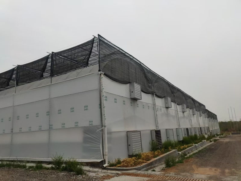 Tarımsal Poli Film Tünel Sera