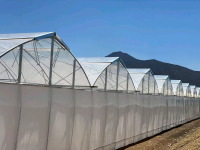 Hidroponikli Çok Alanlı Gotik Sera