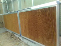 Большой размер теплицы для коммерческого использования