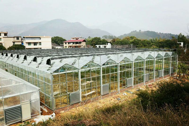 Большой размер теплицы для коммерческого использования