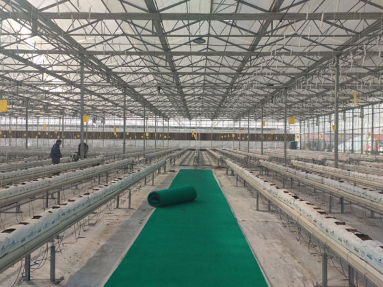 Ticari Kullanım İçin Büyük Boy Sera