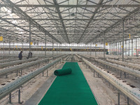 Большой размер теплицы для коммерческого использования