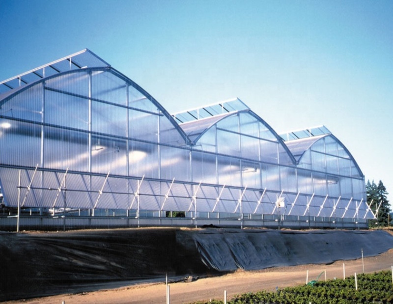 Serre tunnel en film polyéthylène transparent