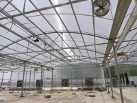 Serre tunnel en film polyéthylène transparent