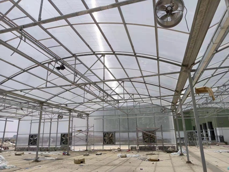 Serre tunnel en film polyéthylène transparent