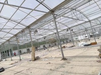 Serre tunnel en film polyéthylène transparent