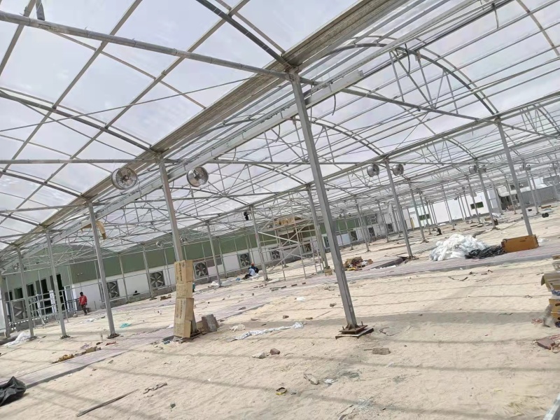 Serre tunnel en film polyéthylène transparent