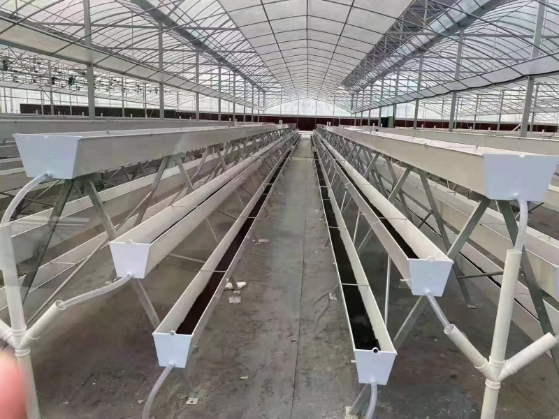 Serre tunnel en film polyéthylène transparent