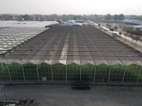 Сборный парниковый дом с низкой стоимостью