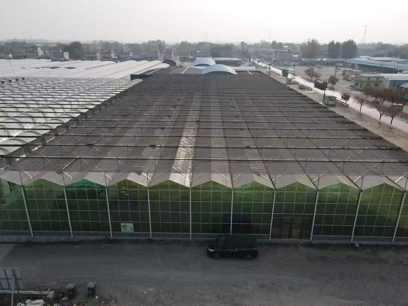 Сборный парниковый дом с низкой стоимостью