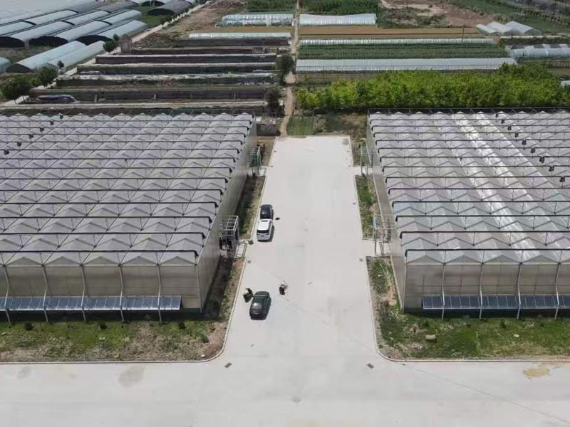 Greenhouse Farming With Hydroponic System