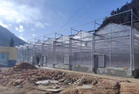 Greenhouse Farming With Hydroponic System