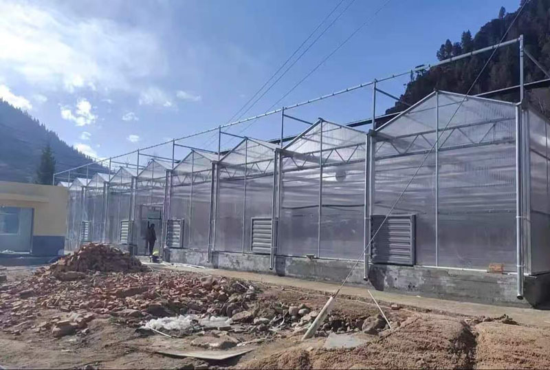 Greenhouse Farming With Hydroponic System