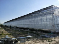 Serre à fraises avec système de plantation