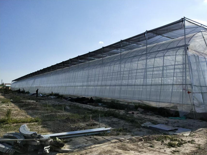 Serre à fraises avec système de plantation