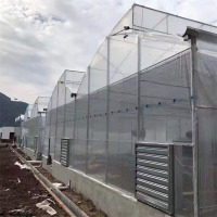 Tropical Agricultural Film Greenhouse