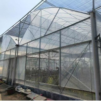 Tropical Agricultural Film Greenhouse