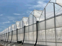 Tropical Agricultural Film Greenhouse
