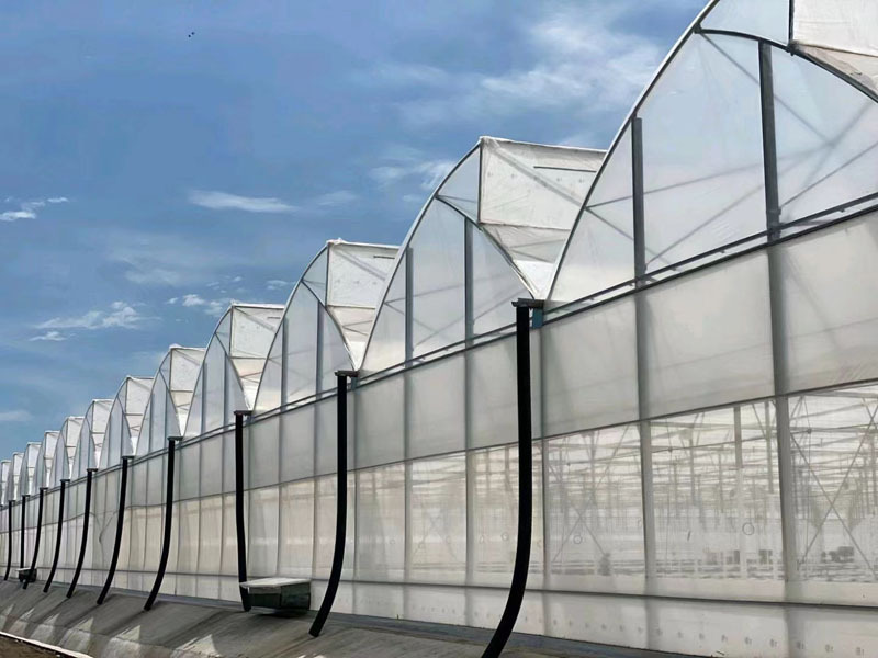 Tropical Agricultural Film Greenhouse