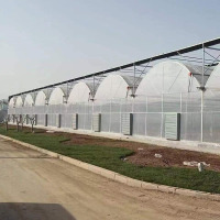 Hidroponik Sistemli Çilek Serası