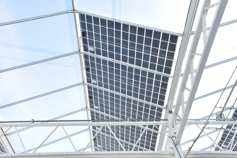 Solar Pannel Vegetables Greenhouse