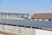 Solar Pannel Vegetables Greenhouse