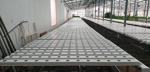 Sistema de tuberías NFT de verduras de hoja