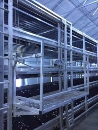 Light Deprivation Mushroom Greenhouse