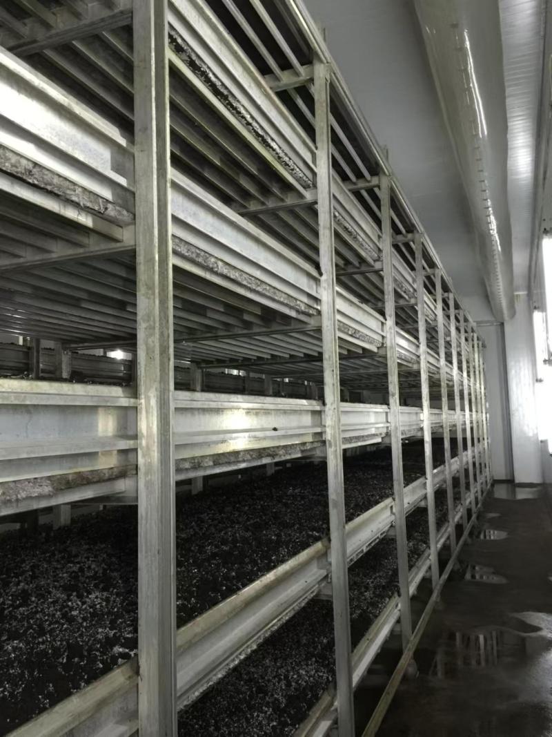 Light Deprivation Mushroom Greenhouse