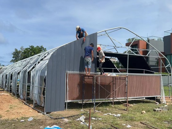Plantes aromatiques en serre avec privation automatique de lumière
