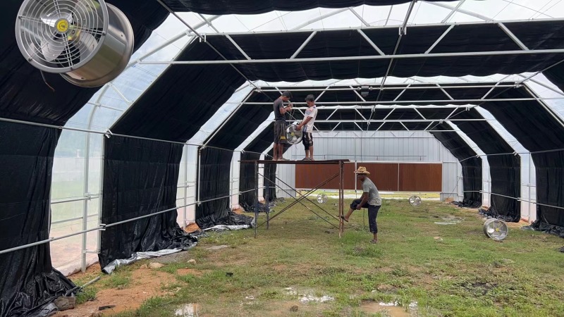 Avto yorug'likdan mahrum issiqxonada o'tlarni ekish