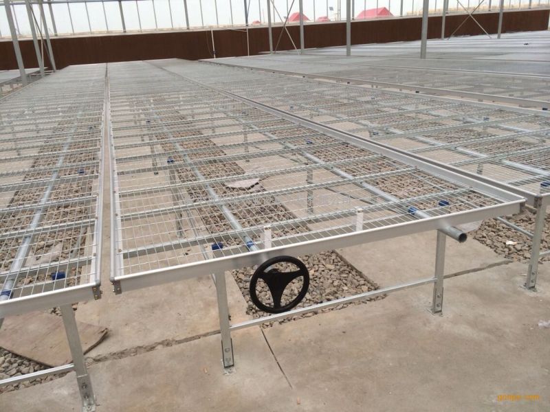 Dark Seedling Greenhouse With Moving Seedling Bed