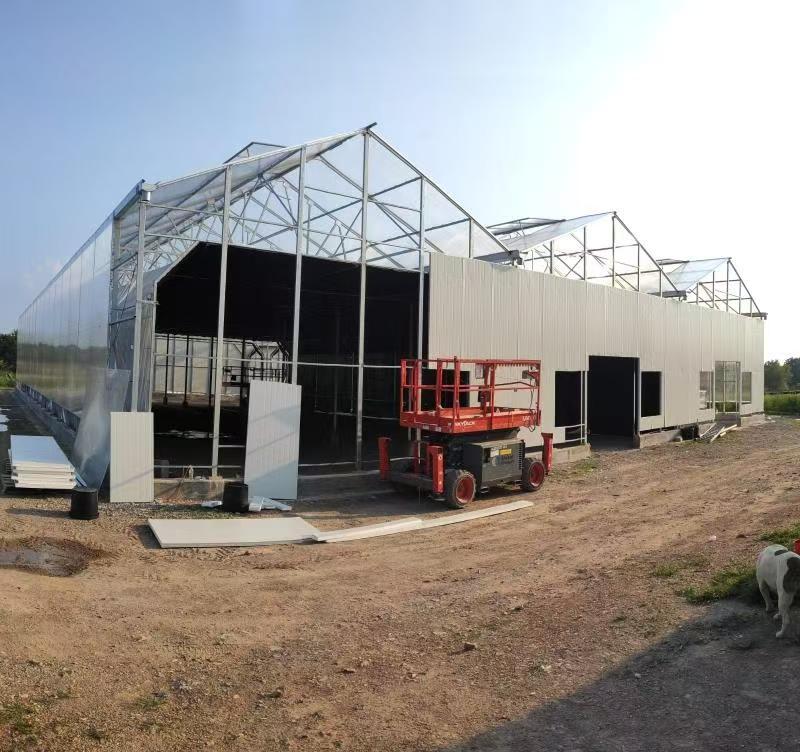Dark Seedling Greenhouse With Moving Seedling Bed