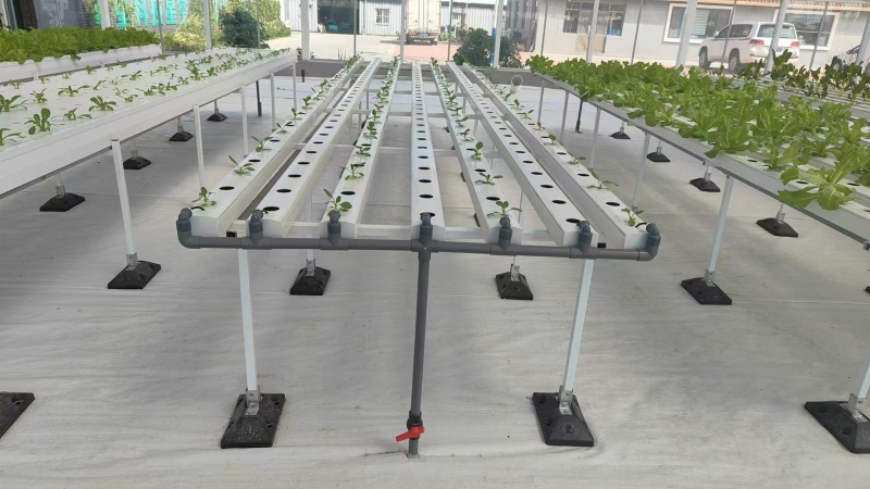 Система гидропоники Нфт для салата