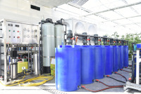 Système hydroponique de tomates avec équipement automatique