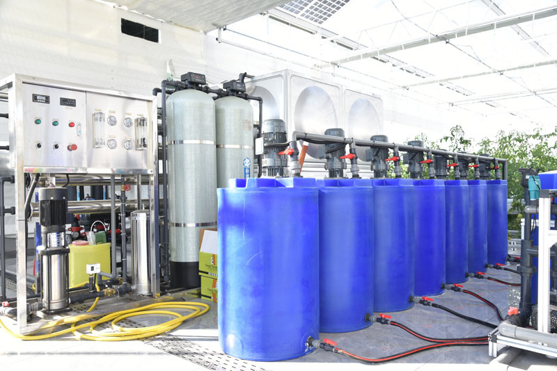 Système hydroponique de tomates avec équipement automatique