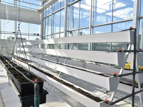 Strawberry Planting Hydroponics System