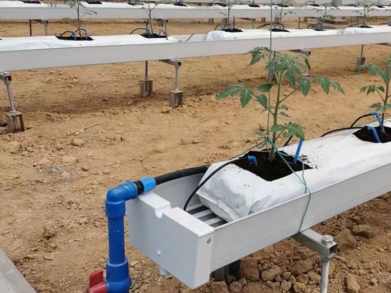 Vegetables Growing Trough With Irrigation System