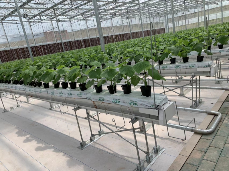 Vegetables Growing Trough With Irrigation System