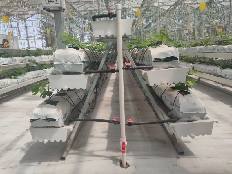 Vegetables Growing Trough With Irrigation System