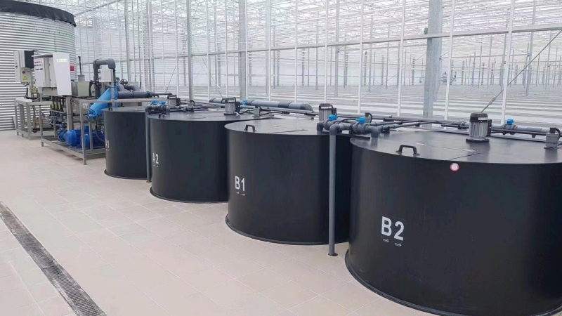 Vegetables Growing Trough With Irrigation System