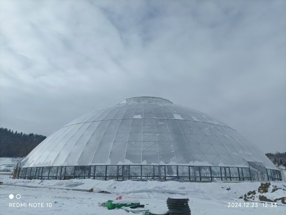 球形/巣/庭/レジャー/温室