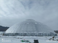 球形/巣/庭/レジャー/温室